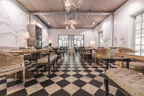 Wild Garden Cafe,  Amethyst