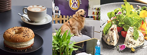 The Pet People Cafe