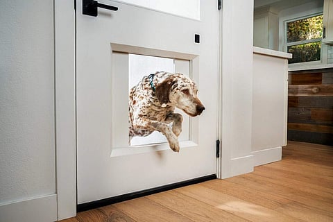 myQ’s pet portal