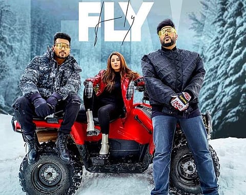 Poster of Fly