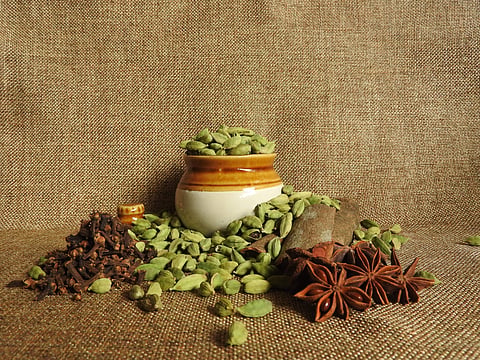 Garam Masalas improve the immune system