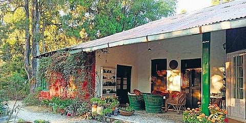 The homestead
