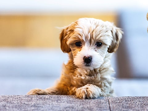 Representational image: Unsplash