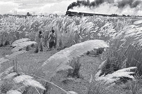 Pather Panchali depicts the childhood travails of protagonist Apu and his elder sister Durga amid the harsh village life of their poor family