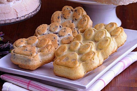 Pawcakes