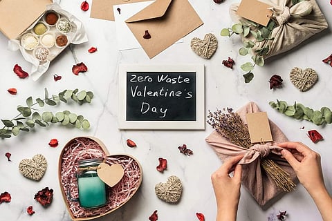 Sustainable V Day