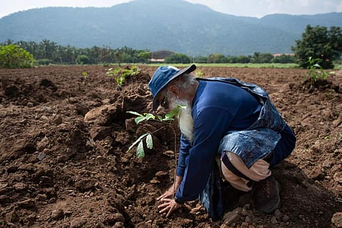 Sadhguru's Save Soil initiative