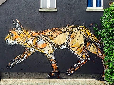 ​Catflow by Dzia in the city of Zolder