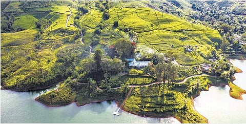 Ceylon Trails Lake