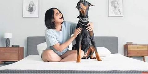 Vegan Bed