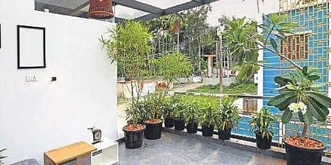 balcony gardening