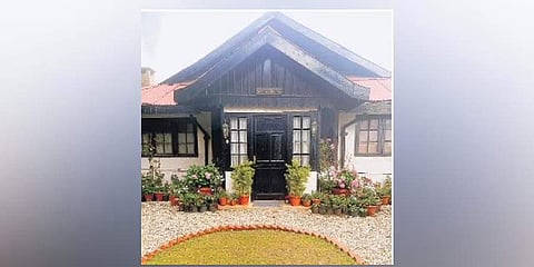 The Jungle House