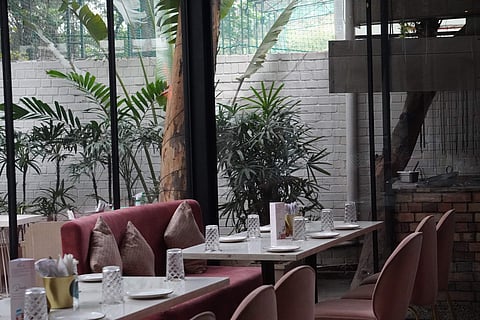 Tiger Lily Bistro