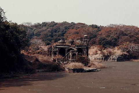 All you need to know about Ranthambore treasures [Image Credits: Pexels]