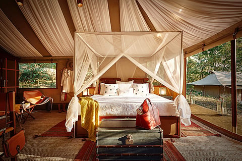 This luxe eco glamping stay in Nagaland will make your Hornbill Festival trip  memorable