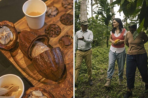 The Indian Cacao & Craft Chocolate Festival