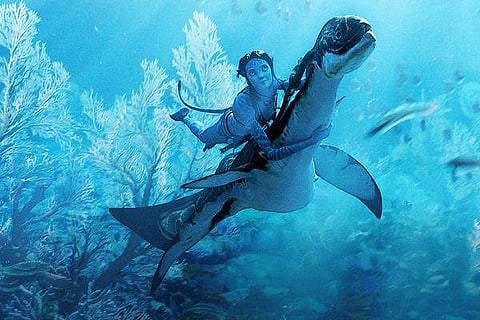 Photo sourced from Avatar's Twitter account