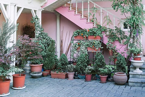 Photo Credits: Pexels