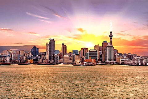 In Frame: Auckland