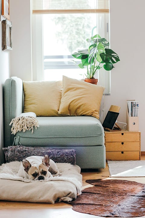 Living_space1