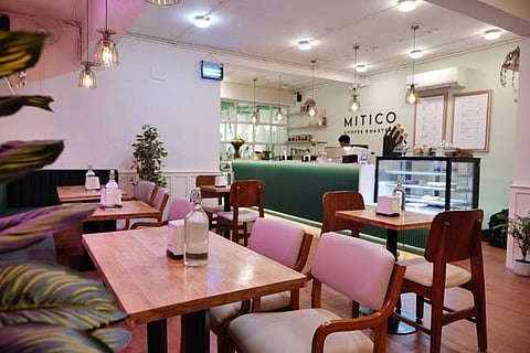 A section of Mitico