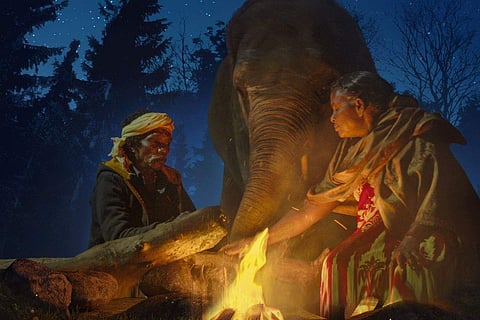 These films seek to expand the knowledge of how people and the natural environment are interconnected
