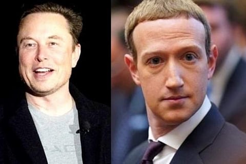 Zuckerberg really burning midnight oil: Musk