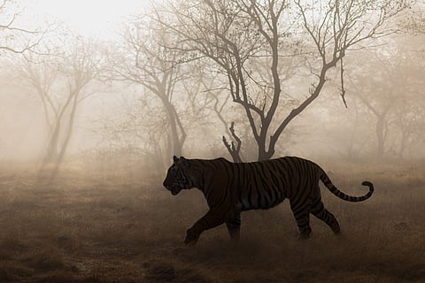 Riddhi on the move