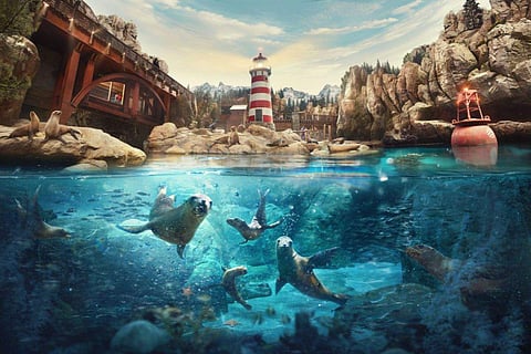 Inside SeaWorld, Yas Island, Abu Dhabi