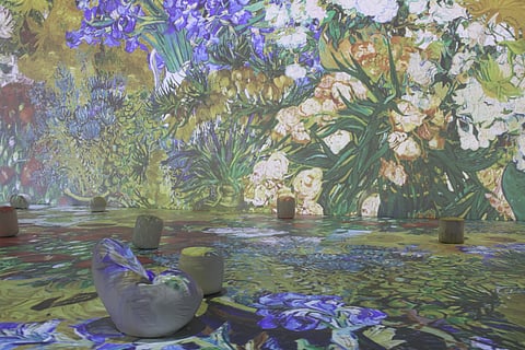 Get a 360-degree view into the life works of celebrated painter Vincent Van Gogh Paintings