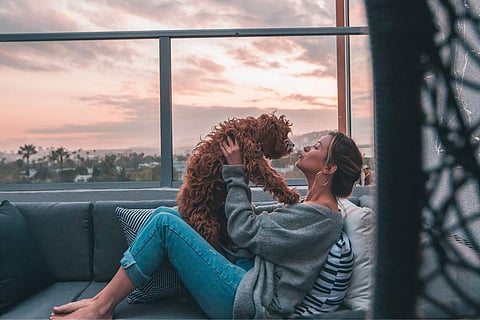 Book a PETcation