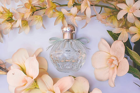 Perfume gifting guide