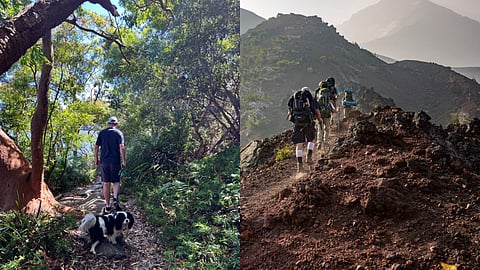 What is bushwalking and is it different from hiking?
