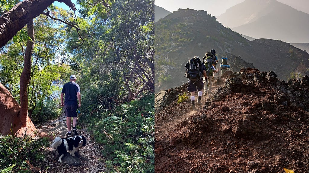 Bushwalking Graphics What is bushwalking and is it different from hiking?