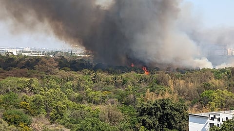 ಕಾಡುಗೋಡಿ ಕಾಡ್ಗಿಚ್ಚು
