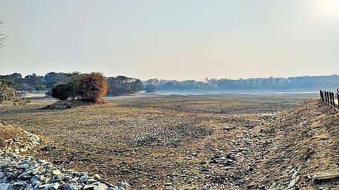 ವಿಭೂತಿಪುರ ಕೆರೆ