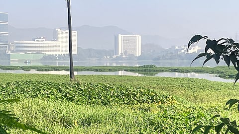 Powai lake