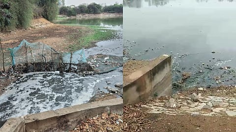 ಸಂಗ್ರಹ ಚಿತ್ರ