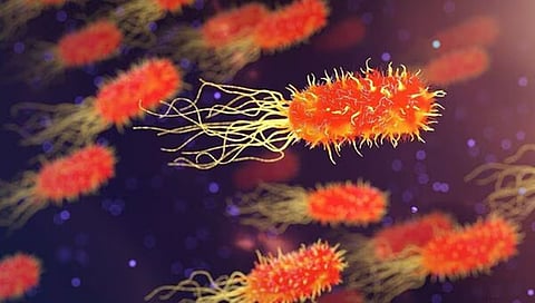flesh-eating bacteria