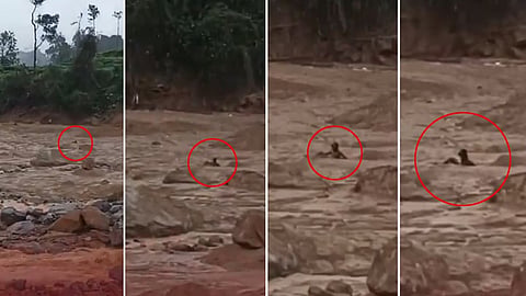 Wayanad landslide: ಗಂಟೆಗಟ್ಟಲೆ ಬಂಡೆಗೆ ಅಂಟಿಕೊಂಡಿದ್ದ ವ್ಯಕ್ತಿಯನ್ನು ರಕ್ಷಿಸಿದ್ದು ರೋಚಕ!