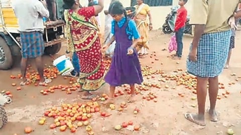 ಟೊಮೆಟೋವನ್ನು ರಸ್ತೆಗೆ ಸುರಿದಿರುವ ರೈತರು.