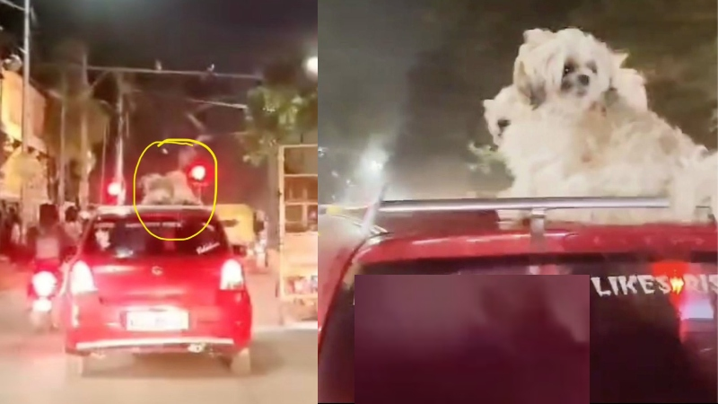 Bengaluru hairstylist Arrest