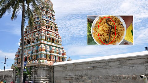 A dead snake found in Chandra Choodeshwarar temple prasadam?