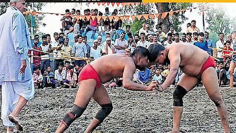 senior pehelwans teach specific skills to youngsters who are sent like warriors for kustis 