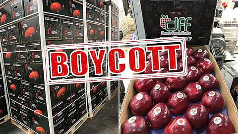 Apple traders in Pune say they have decided to boycott Turkish apples 