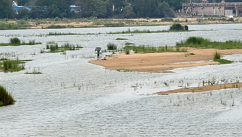Paschimavahini