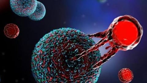  CAR T Cell Therapy