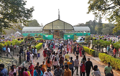  Lalbagh