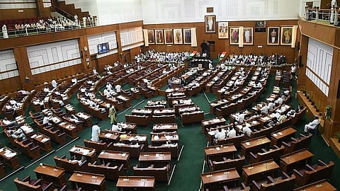 Legislative council 