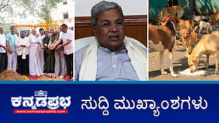 News headlines 17-11-2025 | ಪ್ರಧಾನಿ ಮೋದಿ ಭೇಟಿಯಾದ ಸಿದ್ದರಾಮಯ್ಯ; ಕಬ್ಬು ಬೆಳೆಗಾರರ ಸಮಸ್ಯೆ ಬಗ್ಗೆ ಚರ್ಚೆ; ಕಡಲೆಕಾಯಿ ಪರಿಷೆಗೆ ಚಾಲನೆ; 5 ದಿನಕ್ಕೆ ವಿಸ್ತರಣೆ; ಶೆಲ್ಟರ್ ಗಳಿಗೆ ಬೀದಿ ನಾಯಿಗಳು: ಸುಪ್ರೀಂ ಕೋರ್ಟ್ ನಿರ್ದೇಶನ ಪಾಲಿಸುತ್ತೇವೆ- GBA ಆಯುಕ್ತ
